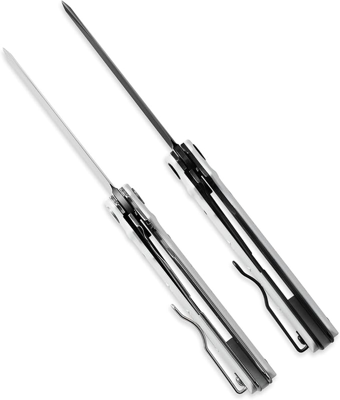 Petrified fish PFB04 Tena Folding Knife, 3.82" D2 Steel Black Stonewashed Blade G10 Handle Pocket Folding knife for EDC Camping Outdoor (Black Black Stonewashed)