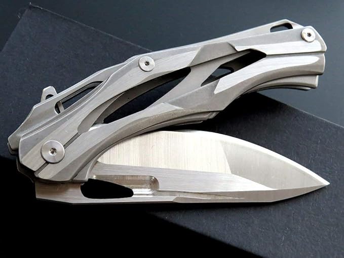 Eafengrow Folding Pocket Knife with D2 Blade Steel Handle Camping Tactical Knife (EF204-silver)