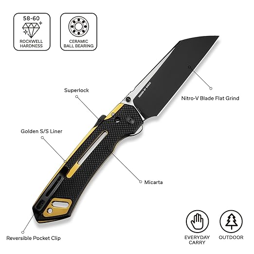 CIVIVI Buster FG Large Pocket Knife, Superlock Folding Knife for Men Women with 4.2" Nitro-V Blade G10 Handle, Designed by Snecx Tan C24052-1 (Black)
