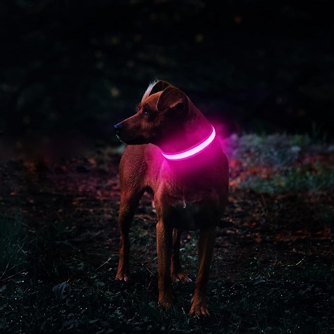 MASBRILL Light Up Collar, Glow LED Rechargeable Flashing Night Walking Collar - Waterproof, 4 Colors, 3 Sizes for Small to Large Dogs