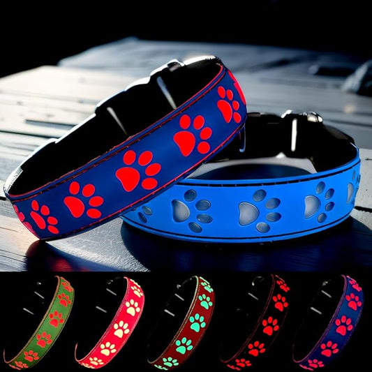 LED Light Up Dog Collar, USB-C Rechargeable, Multicolor Paw Print Design, 15 Modes Lighting Night Safety (Blue, L(15.7-19.7"))