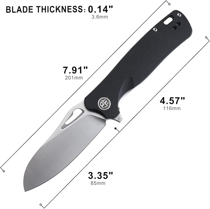 Petrified fish PF868 Bunta,3.35" D2 Satin Blade,146g G10 Handle Flipper Folding knife (Black G10, Satin)