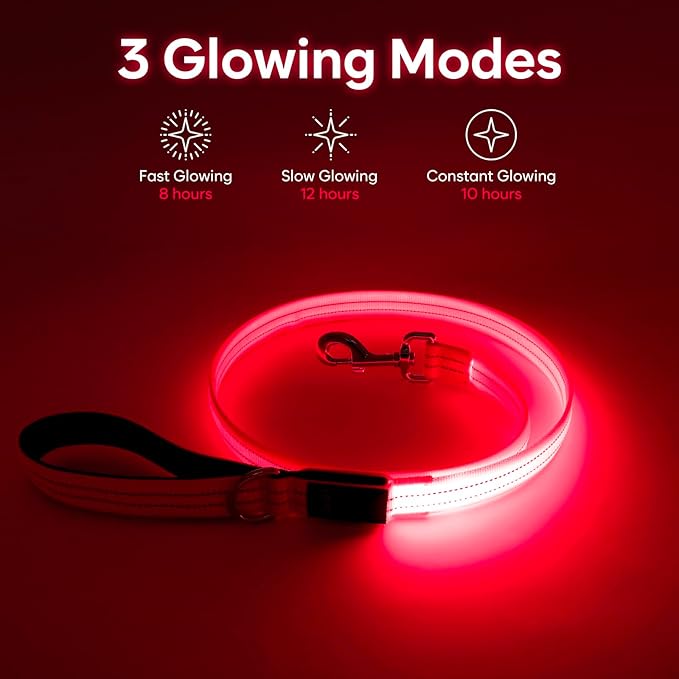 LED Dog Leash, 4 Ft Light Up, USB Rechargeable, Waterproof, Nylon Reflective with Padded Handle, Glow in The Dark for Large, Medium, Small Pets (Pink)