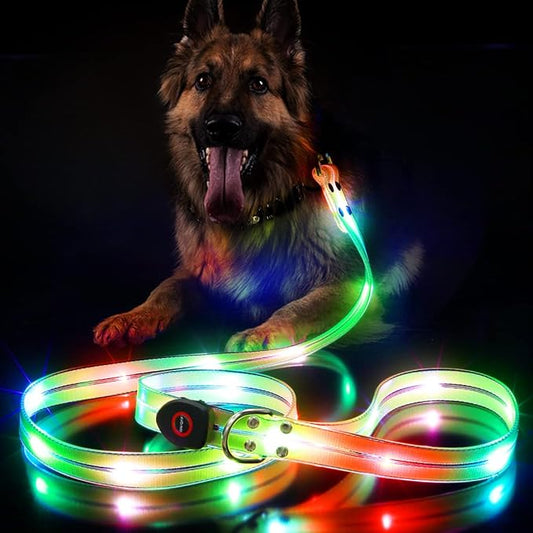 LED Waterproof Pet Dog Leash USB Rechargeable Fashionable Color Glow in The Dark Night Walk Safety Dog Leash for Medium to Large Dogs