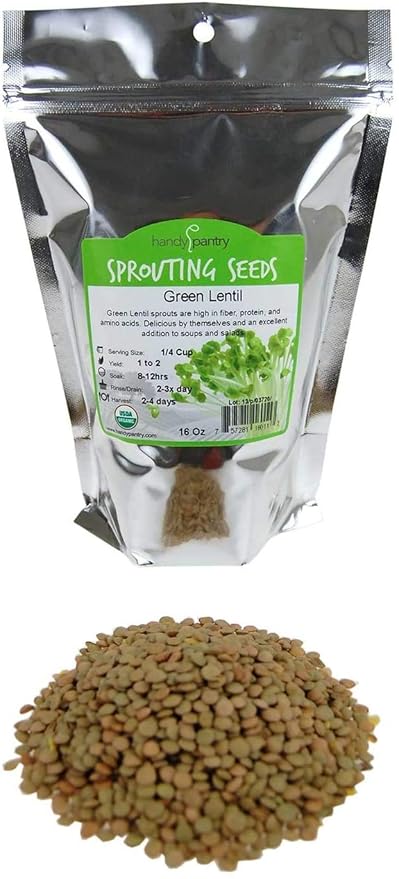 Organic Dried Green Lentil Sprouting Seed: 1 Lb - Dry Lentils for Planting Garden Seeds, Soup, Cooking or Sprout Salad, Sprouts
