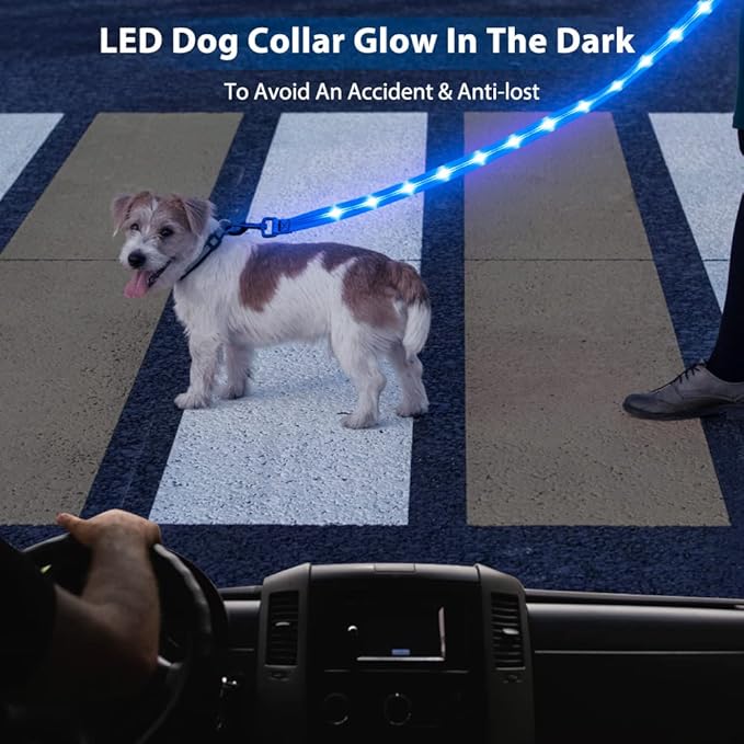Candofly Light Up Dog Leash - 4 Ft Glowing Pet Leash Reachargeable - Nylon LED Dog Leash for Night Walking (Sky Blue)
