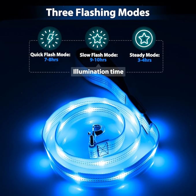Candofly Light Up Dog Leash - 4 Ft Glowing Pet Leash Reachargeable - Nylon LED Dog Leash for Night Walking (Sky Blue)