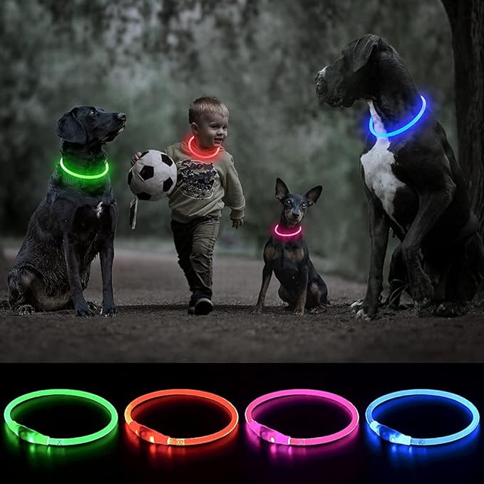 Illumifun LED Dog Collar, Rechargeable Light Up Dog Collars, Illuminated Lighted LED Necklace Glow in The Dark (Neon Green)