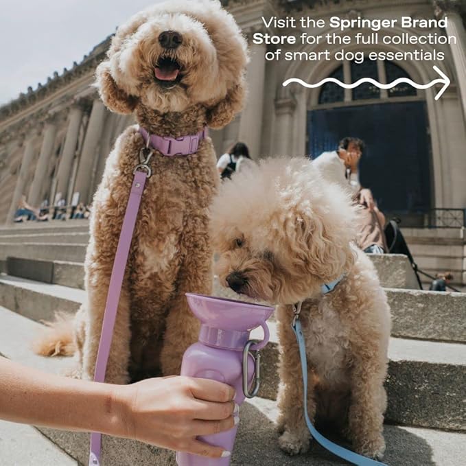 Springer Dog Water Bottle | Portable Travel Water Bottle Dispenser for Dogs | Dog Gift Seen on Oprah's Favorite Things, Shark Tank | Leak-Proof Bottles Fill Bowl with Water | BPA-Free 22oz Gray
