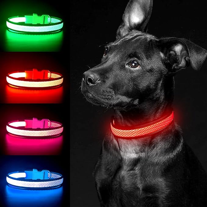 YFbrite Light up Dog Collar, USB Rechargeable LED Puppy Collar Super Bright Adjustable Glowing Dog Lights for Night Walking (Red, Small)