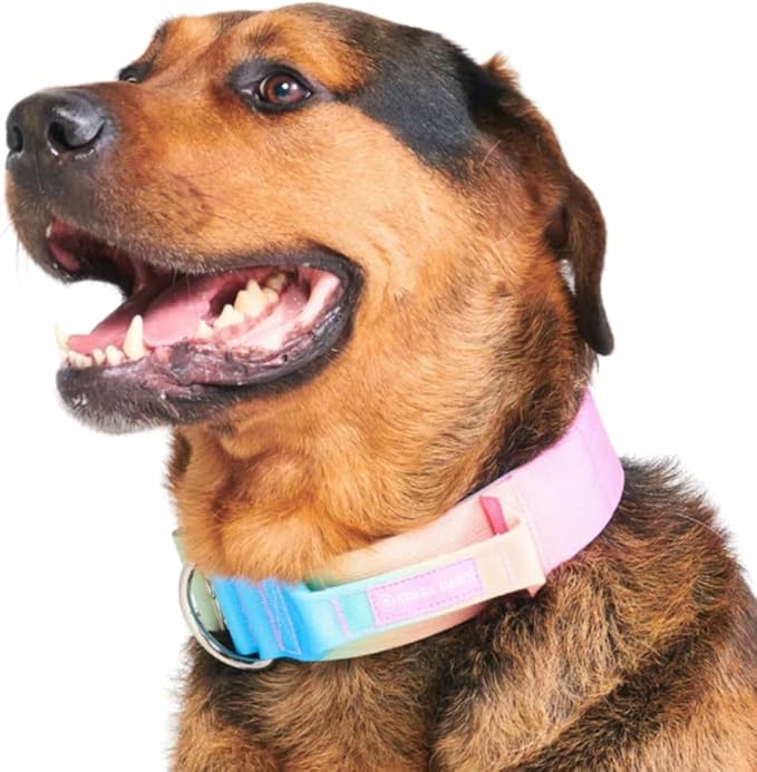 Spark Paws Tactical Dog Collar with Handle - Premium Quality Collar, Robust and Durable Design for Large, Strong Breeds - Pitbulls, Labradors, GSD - Pastel Icing - M - 1.5"