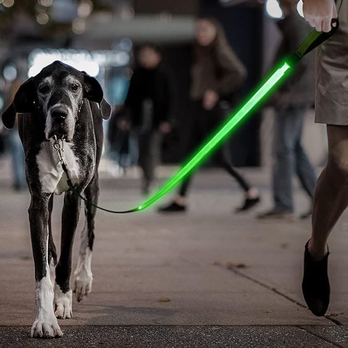 Candofly Glowing LED Dog Leash, Rechargeable Pet Leash with Lights, 4 Ft Light Up Dog Leash for Night Walking Keep Your Pets Visible (Neon Green)