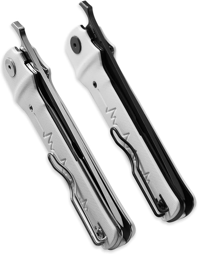 Petrified fish PFB04 Tena Folding Knife, 3.82" D2 Steel Satin Blade G10 Handle Pocket Folding knife for EDC Camping Outdoor (Gray Satin)