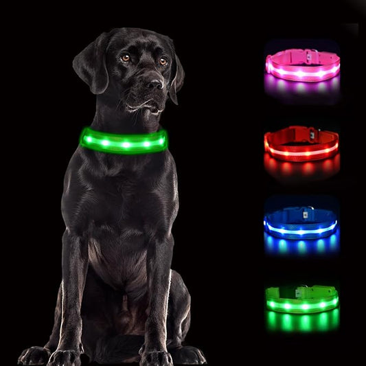 CHUKCHI LED Dog Collar Rechargeable,Waterproof Flashing Collar,Light Up Glow Collar, Adjustable Soft Safety Light Up for Small Medium Large Dogs Walking Camping at Night (Green-L)