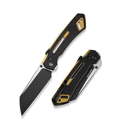 CIVIVI Buster FG Large Pocket Knife, Superlock Folding Knife for Men Women with 4.2" Nitro-V Blade G10 Handle, Designed by Snecx Tan C24052-1 (Black)
