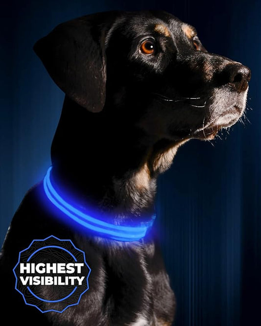 ILLUMISEEN LED Dog Collar USB Rechargeable - Bright & High Visibility Lighted Glow Collar for Pet Night Walking - Weatherproof, in 6 Colors & 6 Sizes (Blue Small)