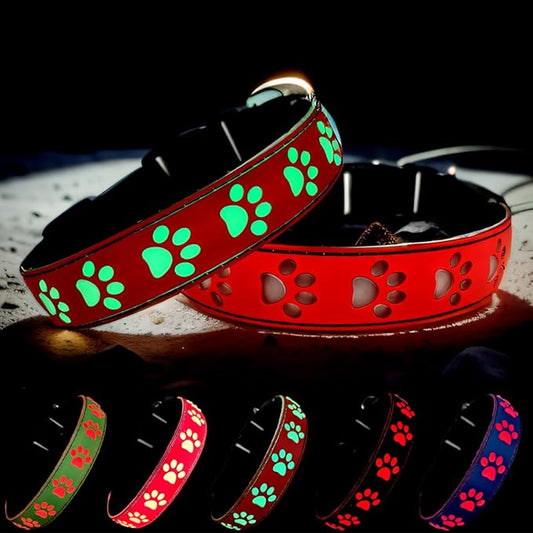 LED Light Up Dog Collar, USB-C Rechargeable, Multicolor Paw Print Design, 15 Modes Lighting Night Safety (RED, XL(19.7-23.6"))