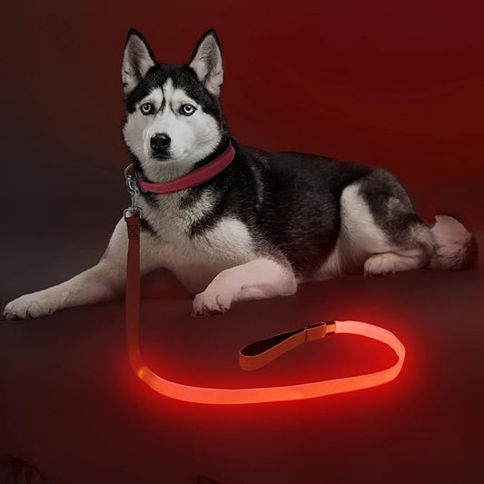 Colaseeme Light Up Dog Leash, LED Pet Leashes USB Rechargeable, Glow Safety Dogs Lights at Night (4FT,Red)