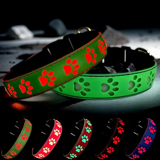 LED Light Up Dog Collar, USB-C Rechargeable, Multicolor Paw Print Design, 15 Modes Lighting Night Safety (Green, M(11.8-15.7"))