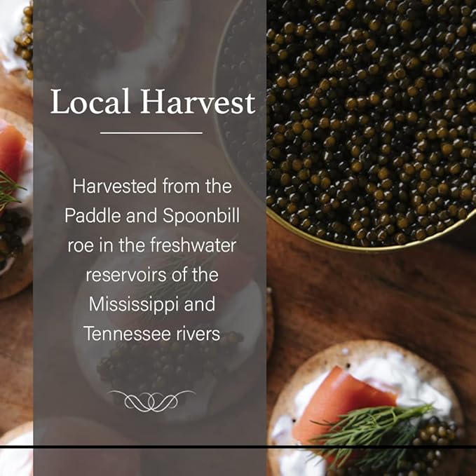 OVERNIGHT SHIPPING - OLMA American Paddlefish Black Caviar - Medium Grey Pearls, Smooth Flavor - 8.8 oz / 250 g