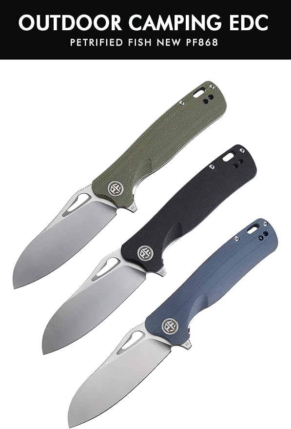 Petrified fish PF868 Bunta,3.35" D2 Satin Blade,146g G10 Handle Flipper Folding knife (Black G10, Satin)