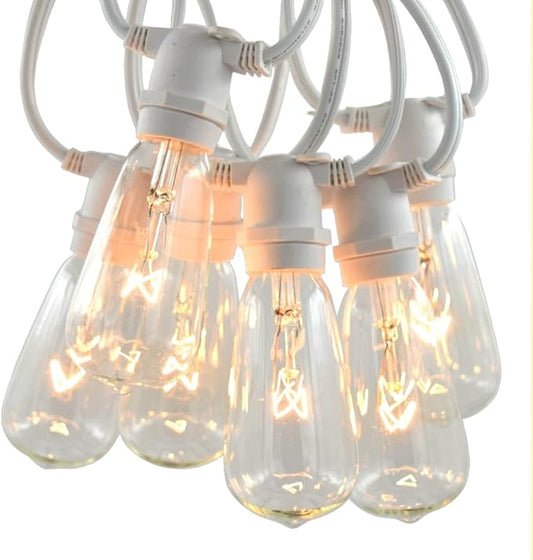 Hometown Evolution, Inc. Commercial Grade Vintage Edison Outdoor String Lights (ST40 Clear - Commercial White Wire, 25 ft)