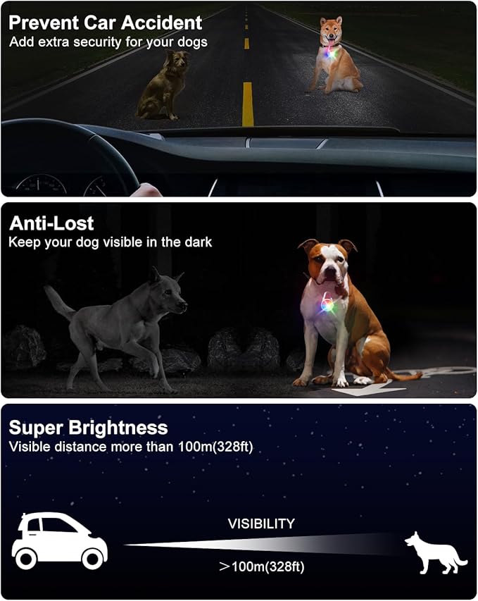 2 Pack Dog Collar Light, Rechargeable Dog Lights for Night Walking Clip On, 4 Modes Waterproof LED Collar Charm for Nighttime Running, Cycling, Pet Camping Essentials (White)