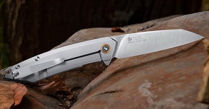 Ruike P831 Folding Tactical Knife with Clip Survival Pocket Knife Tactical EDC Tool Liner Lock 14C28N Steel Camping Knives 3.35inch Small Utility Knife Men Women Blet plus small Multi tool Key