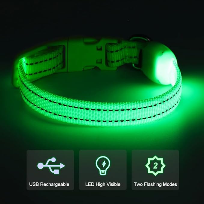 Light Up Dog Collar for Small Dogs - Rechargeable Puppy Collars Glow in The Dark LED Dog Collar Lights for Night Walking（X-Small, Green）