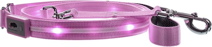 BLAZIN Light Up Dog Leash LED - 1,000 Feet of Visibility - USB Rechargeable Waterproof Glow in The Dark Dog Leash - 4 Foot, Lavender