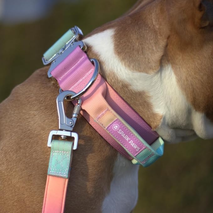 Spark Paws Tactical Dog Collar with Handle - Premium Quality Collar, Robust and Durable Design for Large, Strong Breeds - Pitbulls, Labradors, GSD - Pastel Icing - M - 1.5"