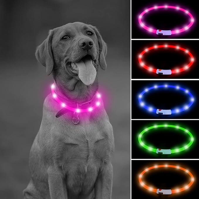Illumifun LED Dog Collar - USB Rechargeable Light Up Dog Collar Glow in The Dark, Lighted Pet Necklace for Nighttime Walking (Pink-Silicone)