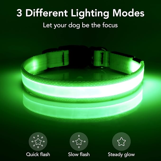 Vizpet LED Dog Collar, Light Up Dog Collar Adjustable USB Rechargeable Super Bright Safety Light Glowing Collars for Dog(Small,Green)