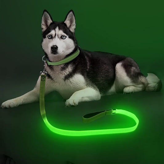 Colaseeme Light Up Dog Leash, LED Pet Leashes USB Rechargeable, Glow Safety Dogs Lights at Night (4FT,Green & Reflective Wires)