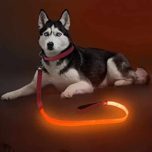 Colaseeme Light Up Dog Leash, LED Pet Leashes USB Rechargeable, Glow Safety Dogs Lights at Night (4FT,Orange)