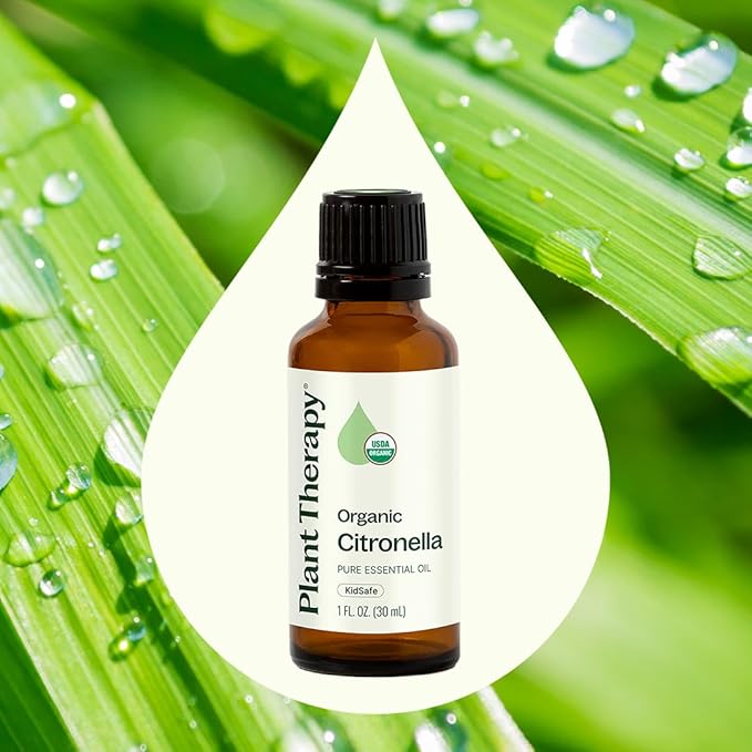 Plant Therapy Citronella Organic Essential Oil 100% Pure, USDA Certified Organic, Undiluted, Natural Aromatherapy, Therapeutic Grade 30 mL (1 oz)