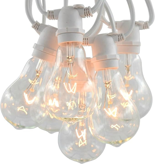 Hometown Evolution, Inc. Commercial Grade Vintage Edison Outdoor String Lights (PS50 Clear - Commercial White Wire, 25 ft)
