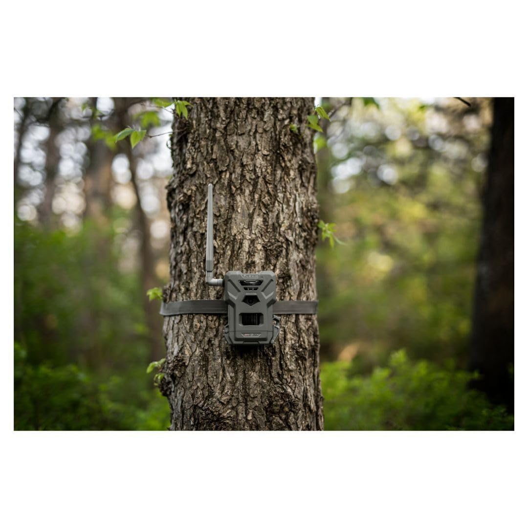 SPYPOINT Flex-M Twin Pack Cellular Trail Cameras - Best Hunting Accessories, No WiFi Needed, GPS