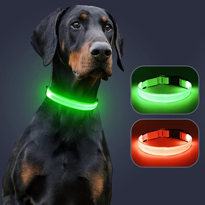 LED Dog Collar - Adjustable, Rechargeable, Waterproof, Glow in Dark for Medium Large Dogs