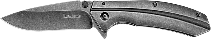 Kershaw Appa Folding Tactical Pocket Knife, SpeedSafe Opening, 2.75 inch Black Blade and Handle & Filter Pocket Knife, 3.25??Steel Blade with Assisted Opening