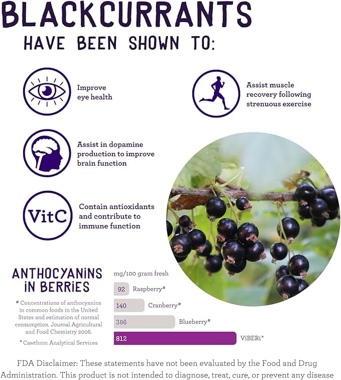 ViBERi NZ Organic Blackcurrant Powder 180g (Loose Powder) Vitamin C Antioxidants Ideal for Smoothies & Training Plans