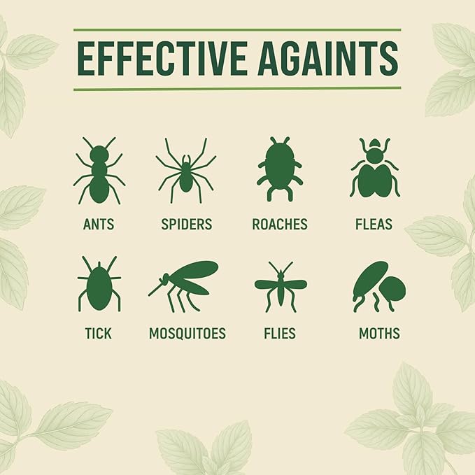 Diatomaceous Earth Food Grade with Peppermint Oil Crawling Insect Killer | Indoor Pest Control Powder for Bed Bug, Roach, Ant, Fleas | Lilly's naturals, 12 fl oz