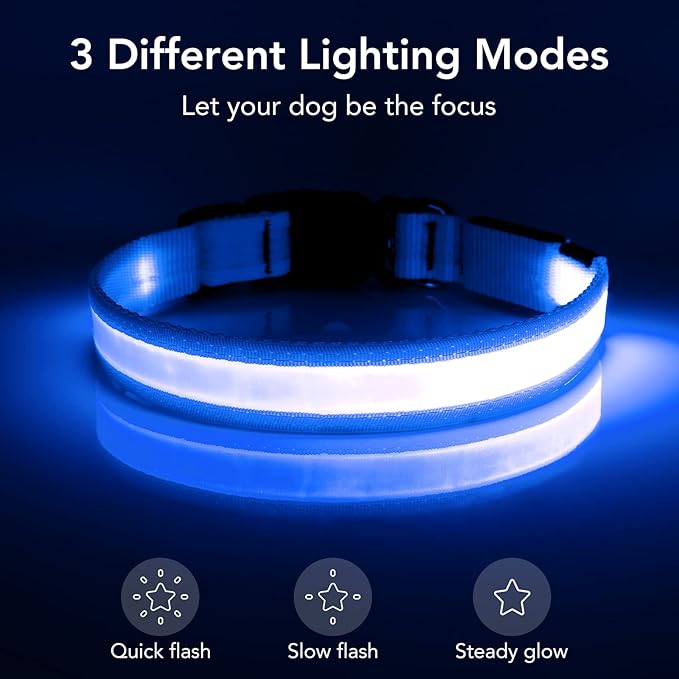 Vizpet LED Dog Collar, Light Up Dog Collar Adjustable USB Rechargeable Super Bright Safety Light Glowing Collars for Dogs(Small,Blue)