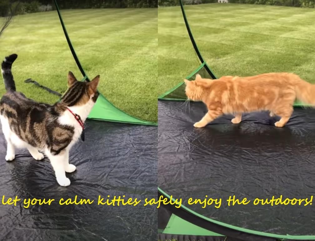 SANSBUG Screen Tent (Instant Pop up, Strong No-See-um Mesh, Durable Tarp Floor)