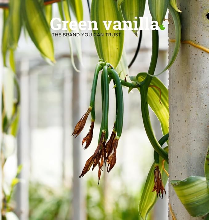 15 Organic Madagascar Vanilla Beans-Whole Pods Grade A 5''-7'' Premium Vanilla Beans For Extract And Homemade Baking (Pack of 1)