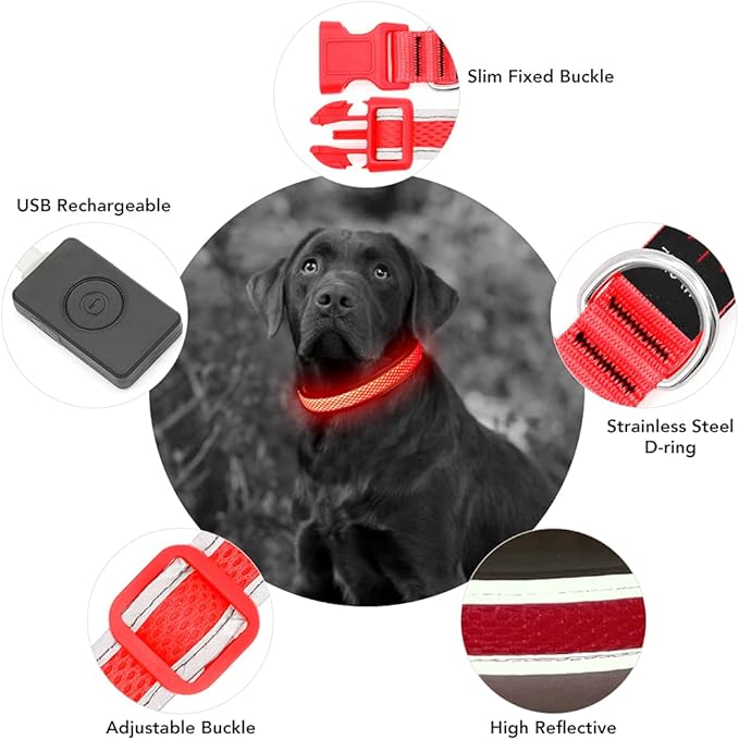 YFbrite Light up Dog Collar, USB Rechargeable LED Puppy Collar Super Bright Adjustable Glowing Dog Lights for Night Walking (Red, Small)