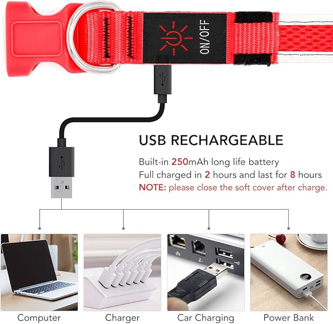 YFbrite Light up Dog Collar, USB Rechargeable LED Puppy Collar Super Bright Adjustable Glowing Dog Lights for Night Walking (Red, Small)