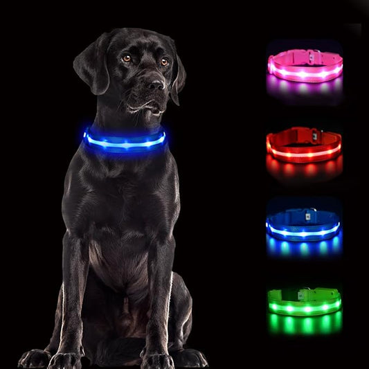 CHUKCHI LED Dog Collar Rechargeable,Waterproof Flashing Collar,Light Up Glow Collar, Adjustable Soft Safety Light Up for Small Medium Large Dogs Walking Camping at Night (Blue-L)