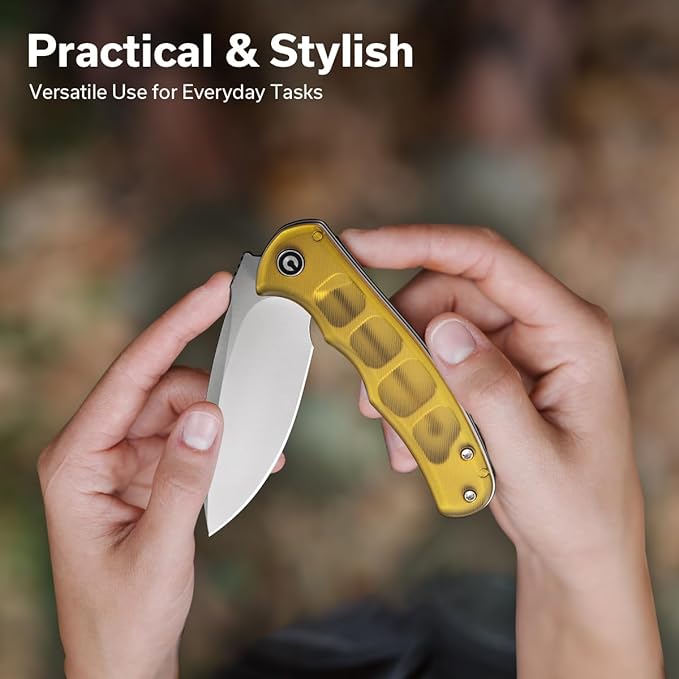 CIVIVI Mini Praxis Pocket Knife for EDC, Folding Pocket Knife with 2.98" D2 Blade Ultem Handle with Flipper for Men Women C18026C-4