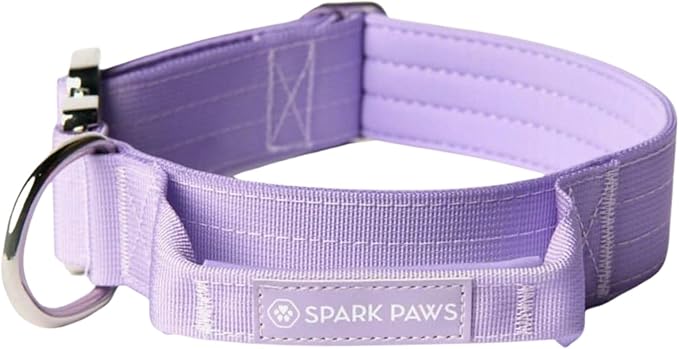 Spark Paws Tactical Dog Collar - Heavy Duty, Premium Quality, Thick and Durable for Large and Medium Dogs - Purple - S - 1.5"